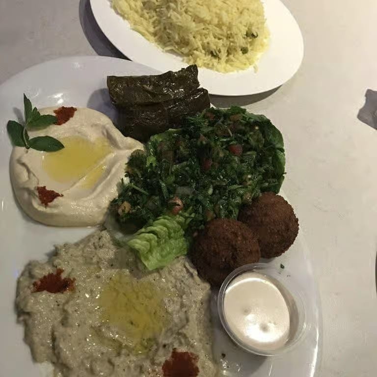 Vegetarian Combo.